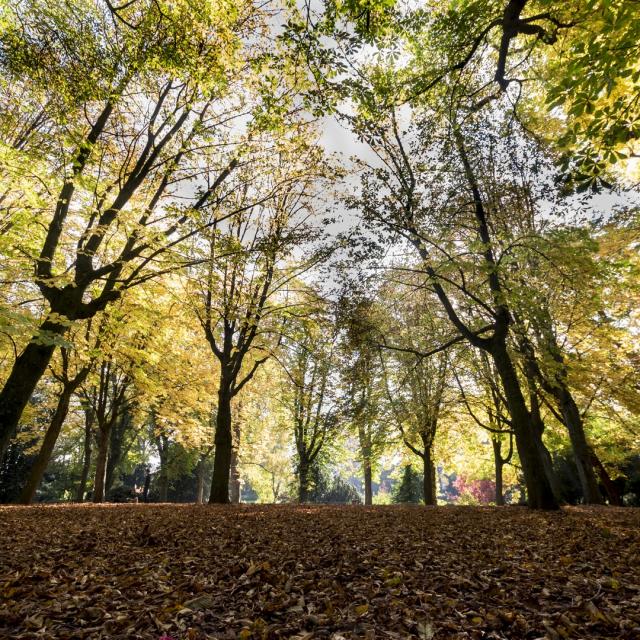 Parc Bertin Douai Nature Douaisis Nord France (c) Ad Langlet (1)