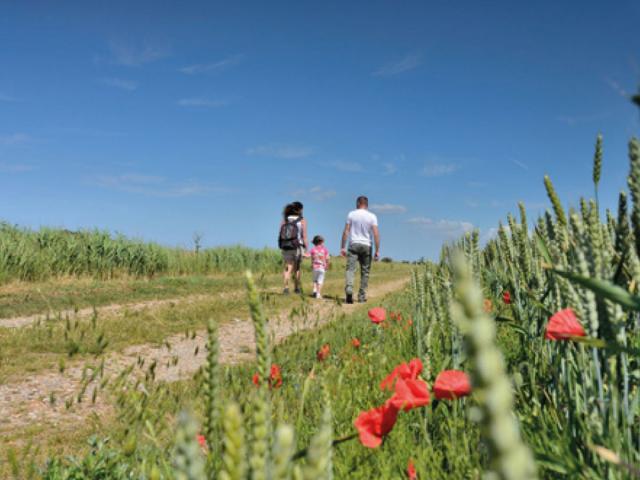 Landscapes - hiking - Sensée - Douaisis - Northern France (c)Douaisis Tourisme