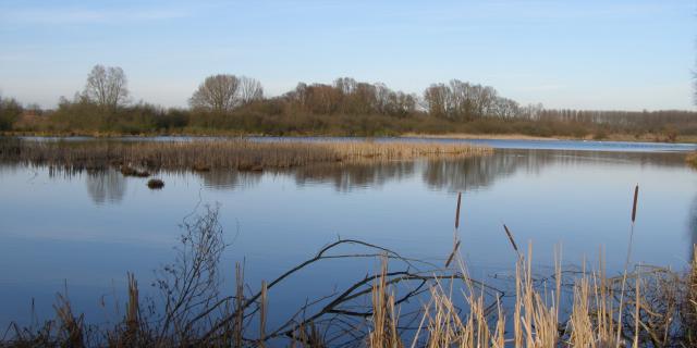 Terrils de L'Escarpelle et des Pâturelles de Roost-Warendin-Douaisis Nord France