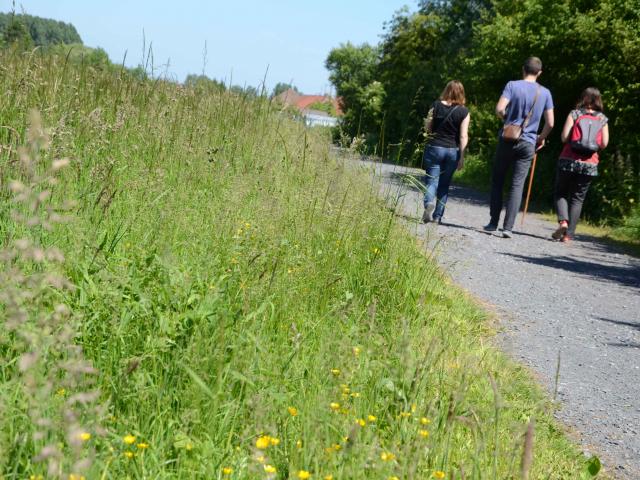 Landscapes - hiking - Sensée - Douaisis - Northern France (c)Douaisis Tourisme