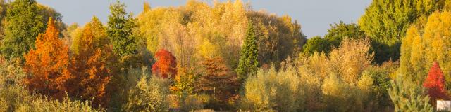 Parc Vernier Douai Ad Langlet 05