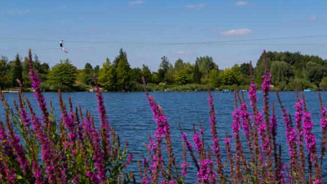 Parc Vernier Douai Ad Langlet 10