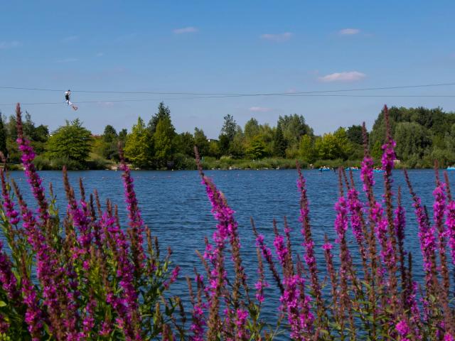 Parc Vernier Douai Ad Langlet 10