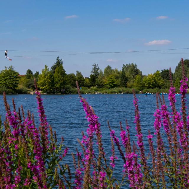 Parc Vernier Douai Ad Langlet 10