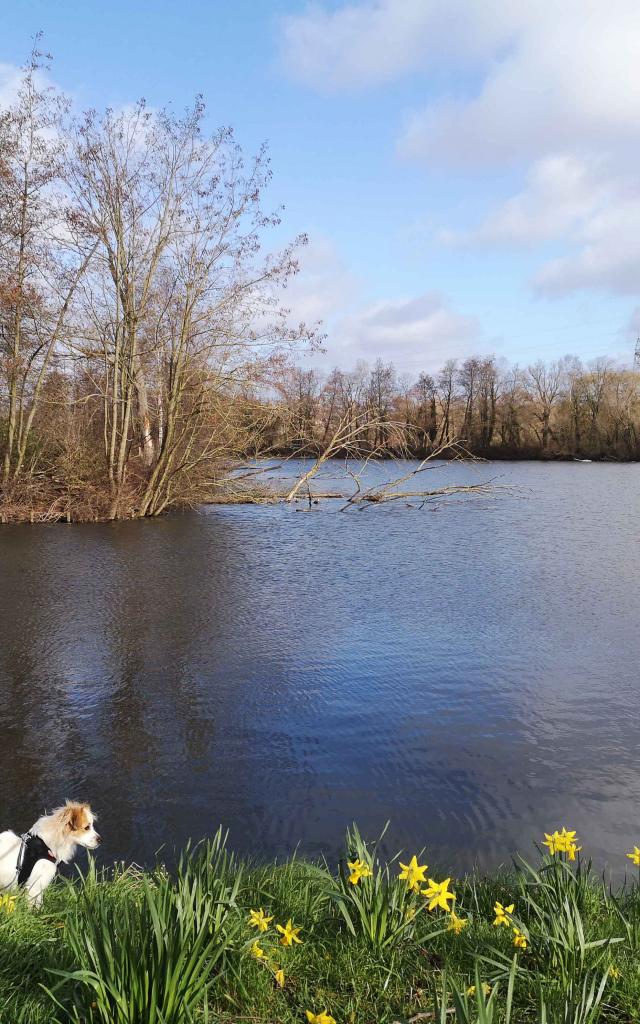 Photos Rando La Boucle Du Vivier Douaisis Nord France