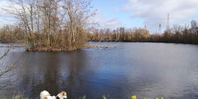 Sin-le-Noble marsh - Landscapes - hiking - Sensée - Douaisis - Northern France (c)Douaisis Tourisme