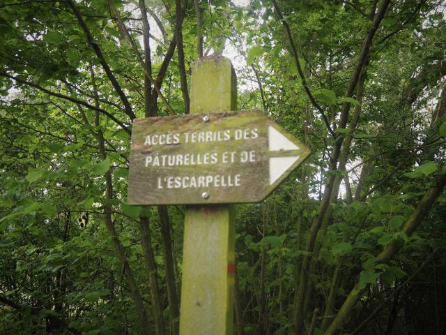 Terrils de L'Escarpelle et des Pâturelles de Roost-Warendin-Douaisis Nord France