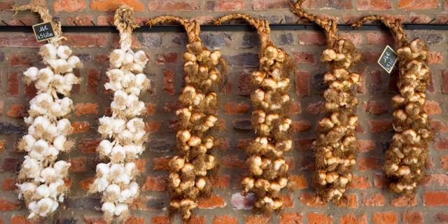 smoked garlic braid - gatronomie - Arleux - Douaisis - Louvre-Lens - Museum - Lens - Northern France (c)ADLanglet