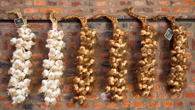 smoked garlic braid - gatronomie - Arleux - Douaisis - Louvre-Lens - Museum - Lens - Northern France (c)ADLanglet