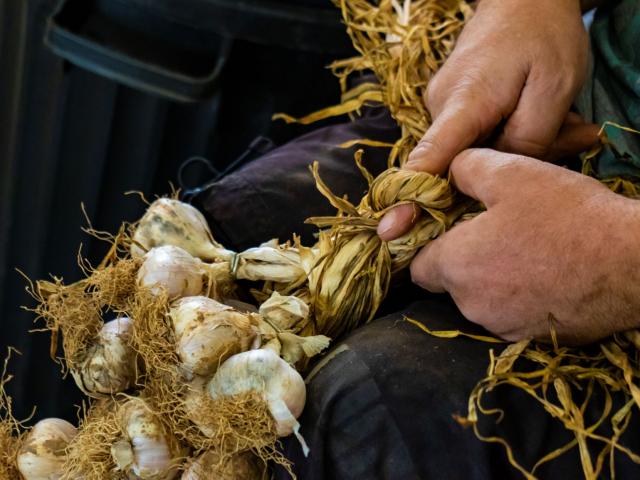 smoked garlic braid - gatronomie - Arleux - Douaisis - Northern France (c)ADLanglet