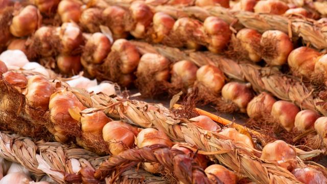 smoked garlic braid - gatronomie - Arleux - Douaisis - Northern France (c)ADLanglet