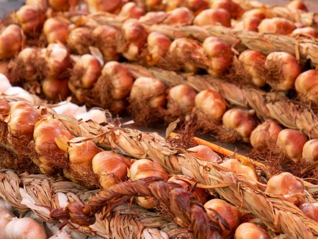 smoked garlic braid - gatronomie - Arleux - Douaisis - Northern France (c)ADLanglet