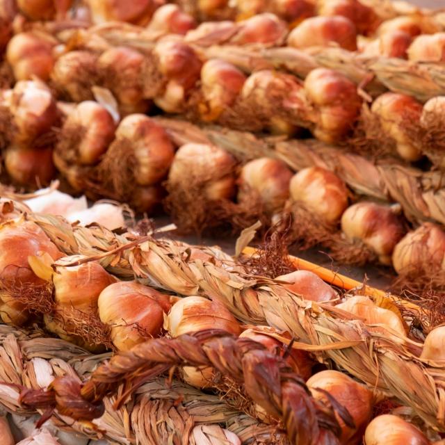 smoked garlic braid - gatronomie - Arleux - Douaisis - Northern France (c)ADLanglet