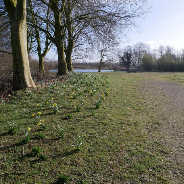 Boucle du Vivier, Randonnée, Douai, Douaisis, Nature