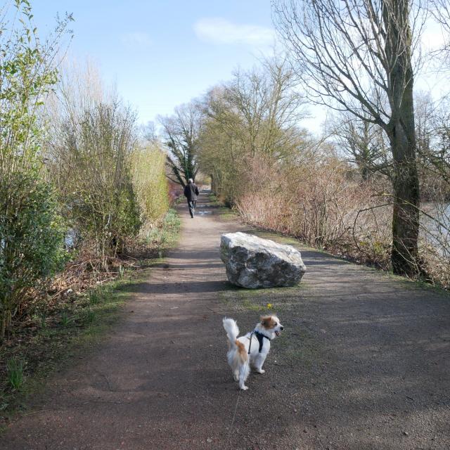 Boucle du Vivier, Randonnée, Douai, Douaisis, Nature