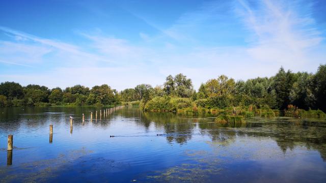 Hamel marsh - Landscapes - hiking - Sensée - Douaisis - Northern France (c)Douaisis Tourisme