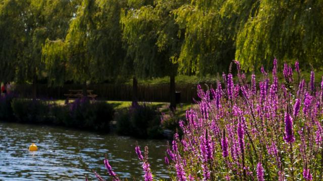 Parc Jacques Vernier Douai Douaisis Nord France (c) Adlanglet