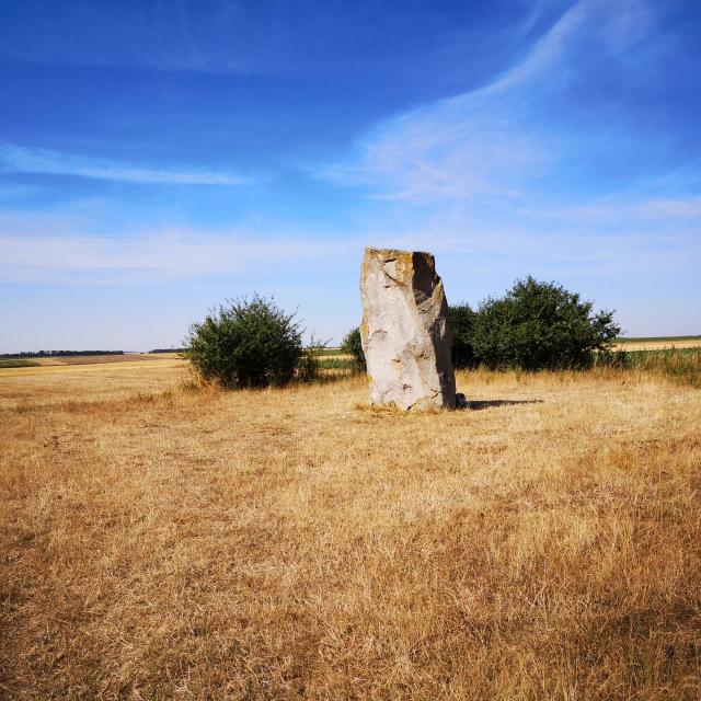 Pierre du diable - megalith - Lécluse - Landscapes - hiking - Sensée - Douaisis - Northern France (c)Douaisis Tourisme