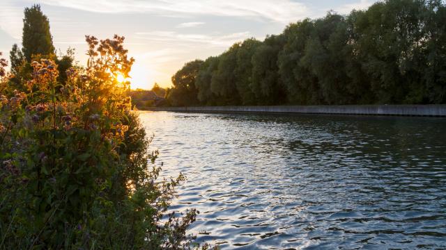 Scarpe Canal Douai Douaisis Nord France Adlanglet