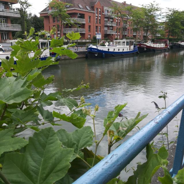 canal - boats - barges - river - hiking - Scarpe -Douai - Northern France (c)ADLanglet