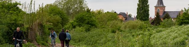 Hamel marsh - Landscapes - hiking - Sensée - Douaisis - Northern France (c)ADLanglet