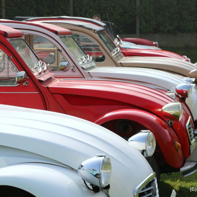 2cv-vehicules-vintage-citroen-sin-le-noble-douaisis-nord-france-c-alain-canon.jpg