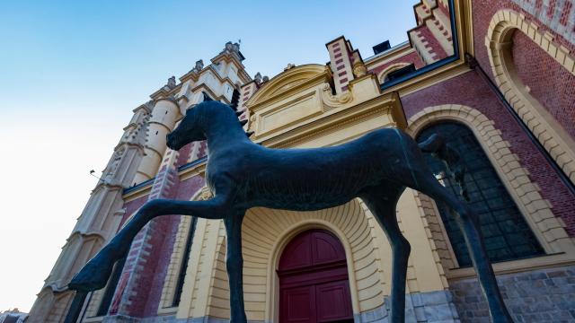 cheval-de-flanagan-douai-douaisis-nord-france.jpg