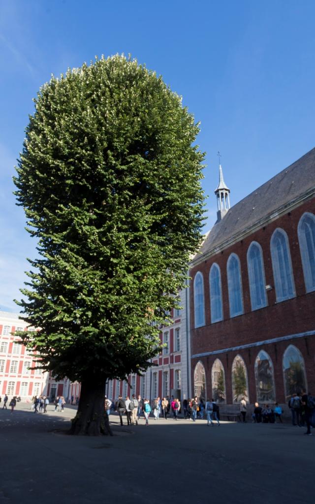 Chappelle Des Bénédictins Anglais Lycée Corot Douai Douaisis Nord France (c)adlanglet