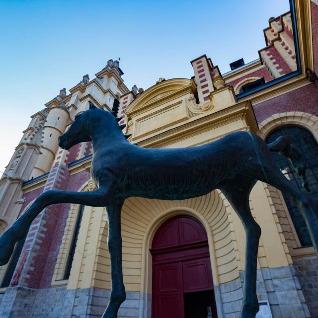 Cheval Flanagan Saint Pierre Collégiale Douai Douaisis Nord Franceadl