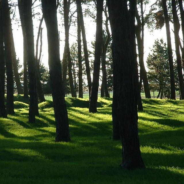 World War I Battlefield, Vimy, Canadian Memorial